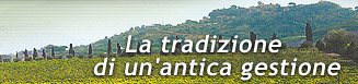 Vini italiani DOC e IGT del Lazio