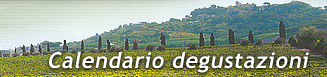 Il vino, orgoglio della nostra terra.