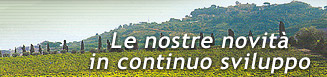 Vini italiani DOC e IGT del Lazio