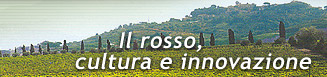 Vini italiani DOC e IGT del Lazio