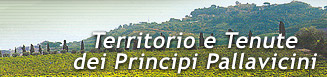 Vini italiani DOC e IGT del Lazio