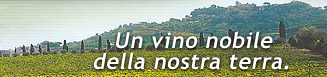 Vini italiani DOC e IGT del Lazio