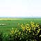 Tenuta di Cerveteri - Scorcio panoramico sul mare