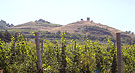 Tenuta di Colonna - Veduta del Colle della Pasolina